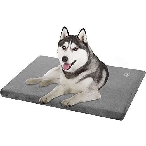 Large washable dog - large, mattress