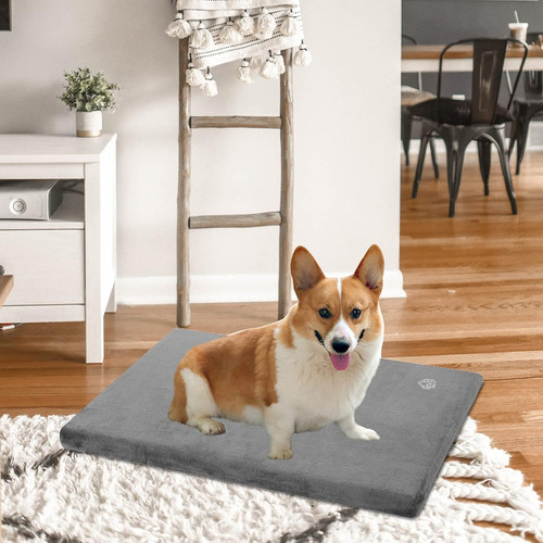 Empsign dog bed medium - dog,