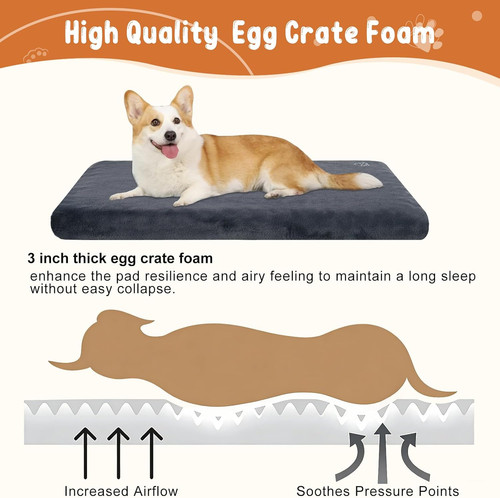 Empsign dog bed medium - bed,