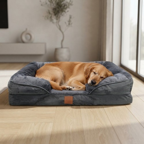 Stylish memory foam - memory, dog