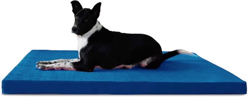 Waterproof mattress for - for, dogs