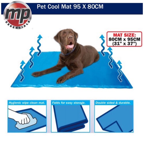 Streetwize dog cat pet heat - cat,
