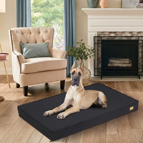 Dog bed medium supportive foam - bed,