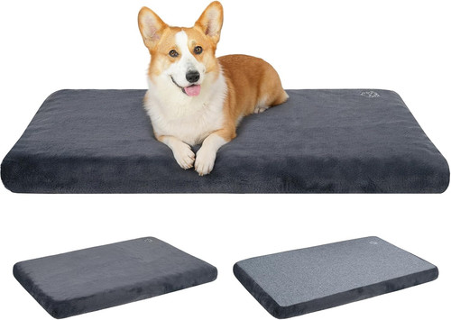 Medium washable dog - medium,