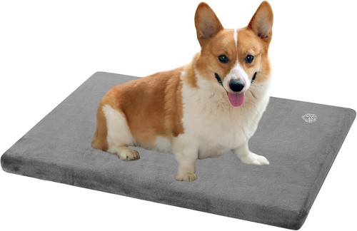 Empsign dog bed medium - dog,