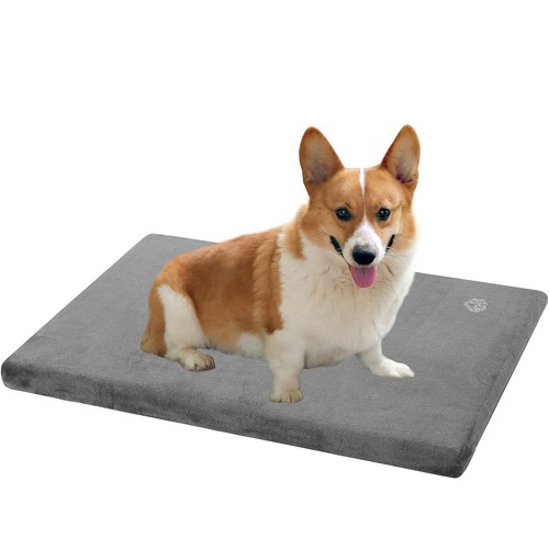 Empsign dog bed - dog,