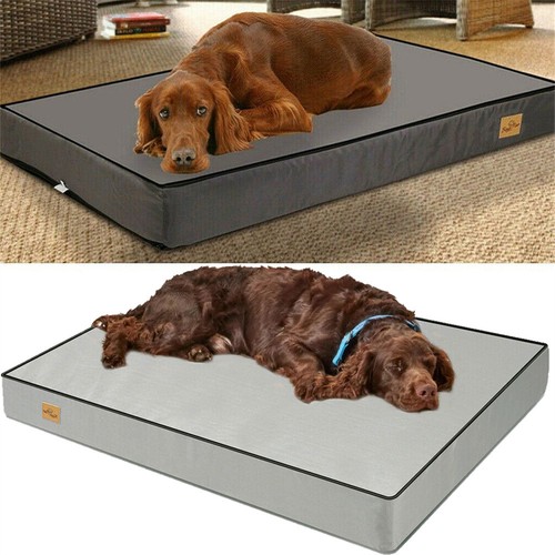 Orthopedic dog bed waterproof - dog,