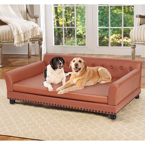 High density orthopedic dog - density,