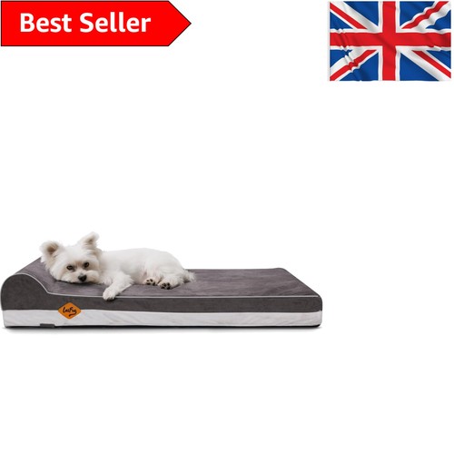 Stylish memory foam - foam, dog