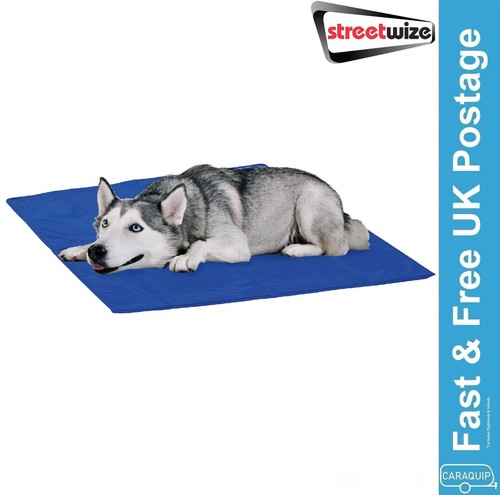 Streetwize dog cat - streetwize,