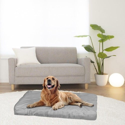 For pet comfort - for,