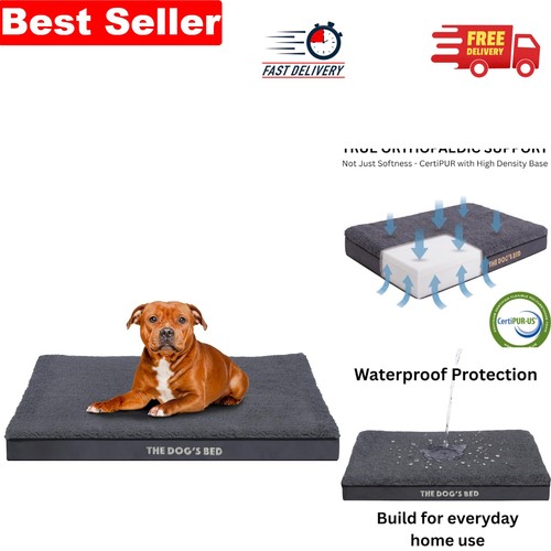 Grey plush orthopaedic dog - plush, bed