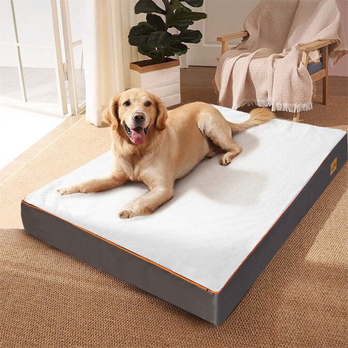 Extra thick orthopedic dog bed - extra,