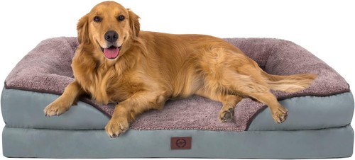 Orthopedic dog bed memory - orthopedic,