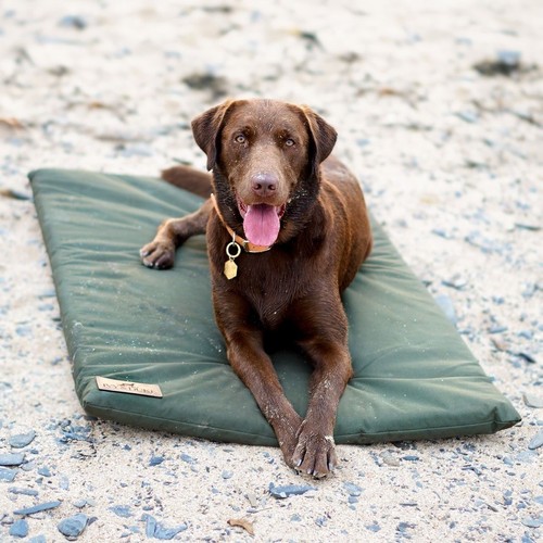 Ivy duke travel - travel, mat