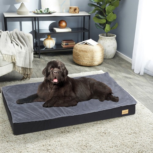 Bingopaw orthopedic dog bed - orthopedic,